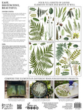 Load image into Gallery viewer, FRONDS BOTANICAL IOD TRANSFER 12X16 PAD