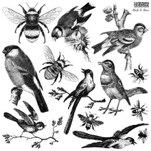 Load image into Gallery viewer, Birds &amp; Bees ~ IOD Decor Stamps