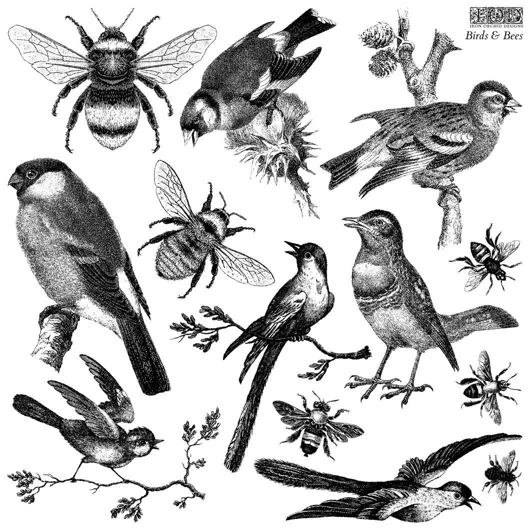 Birds & Bees ~ IOD Decor Stamps