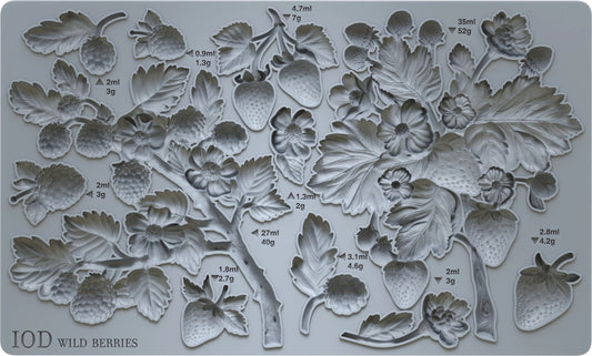 WILD BERRIES 6X10 IOD MOULD