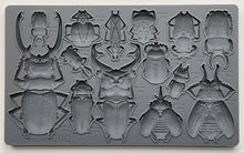 Load image into Gallery viewer, Specimens~ IOD Decor Mould