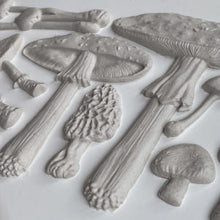 Load image into Gallery viewer, TOADSTOOL MOULD  ~ IOD Decor Mould