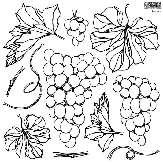 GRAPES ~ IOD Decor Stamps