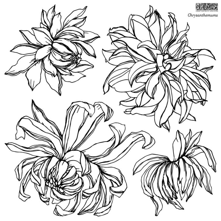 CHRYSANTHEMUM 12×12 ~ IOD Decor Stamp