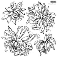 CHRYSANTHEMUM 12×12~RETIRED ~ IOD Decor Stamp