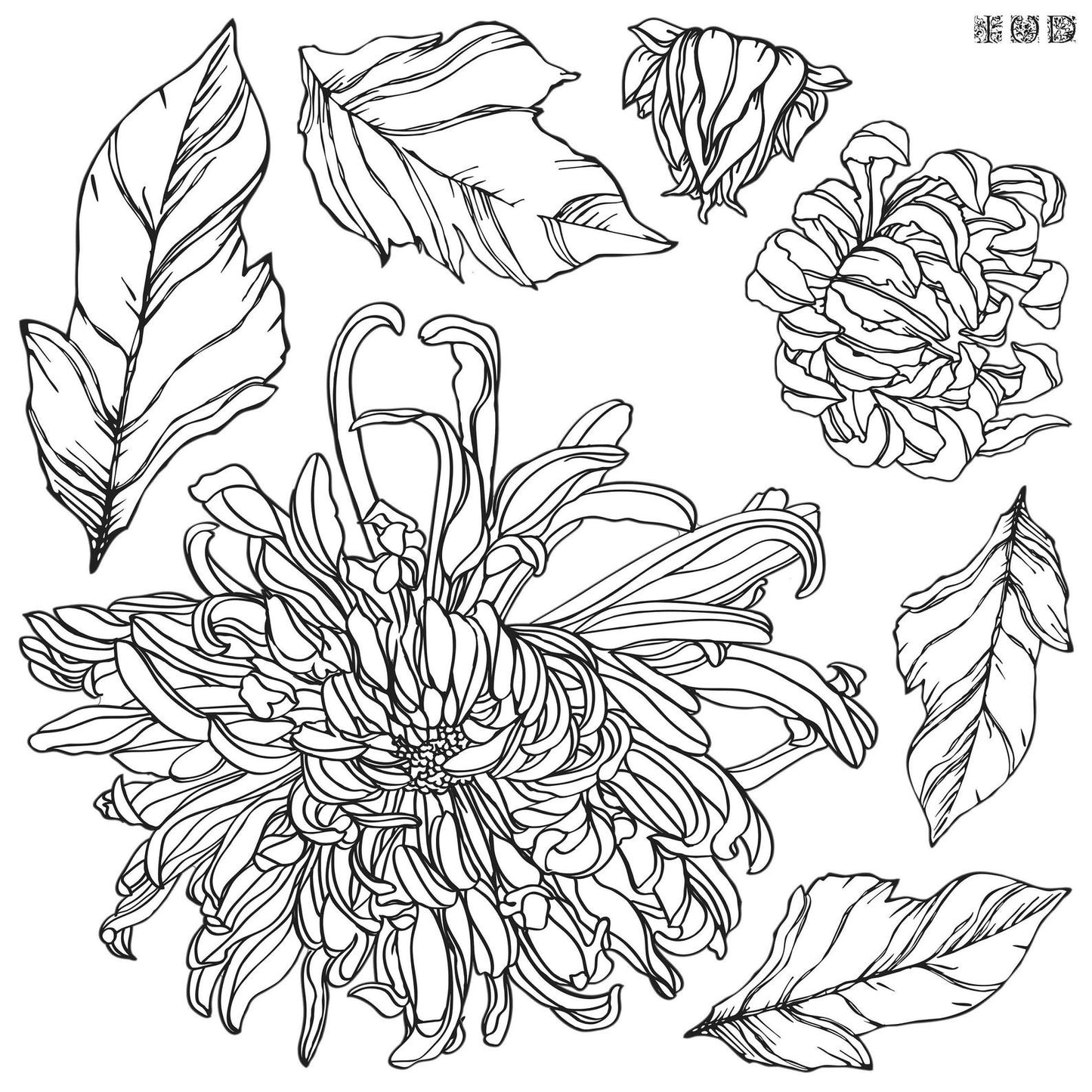 CHRYSANTHEMUM 12×12 ~ IOD Decor Stamp